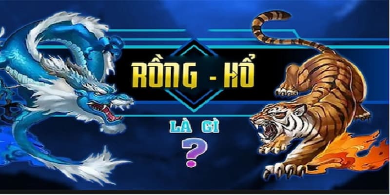 Rồng Hổ Win55: Cách Cược Và Săn Khuyến Mãi Hấp Dẫn 4 Rồng Hổ Win55 là trò chơi thu hút nhiều hội viên