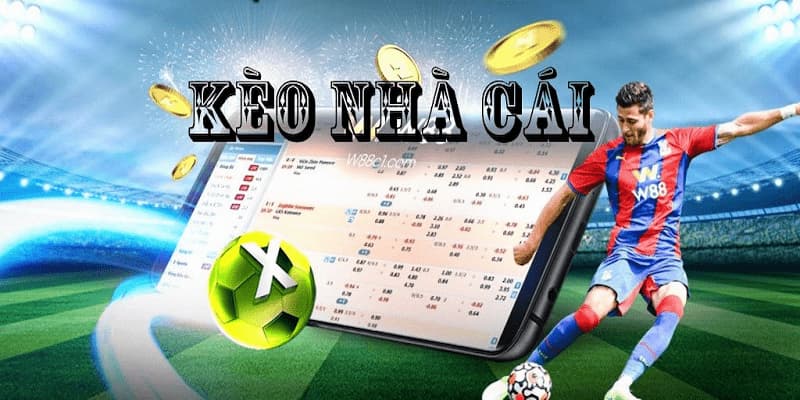 Cách Soi Kèo Nhà Cái Win55 - Tìm Hiểu Kỹ Về Hiệu Quả Để Đặt Cược 1 Cách Soi Kèo Nhà Cái - Tìm Hiểu Sâu Sắc Và Hiệu Quả Để Đặt Cược